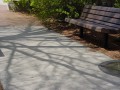 Shadowed bench