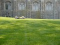 Lying in the sun