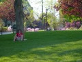 In the shade