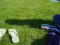 On the lawn