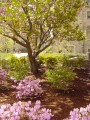 Why can't it be like this for ALL of Spring?