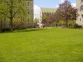 Devlin/Cushing Lawn