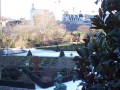 More Botanique
