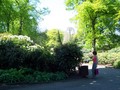 Gardens are finally green