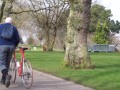 Nice day to walk your bike