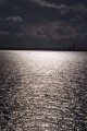 Sunlight