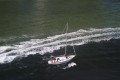 Instead of dolphins, a sailboat