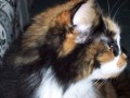 Mia's Profile