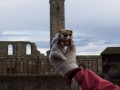 Chops takes in the Cathedral