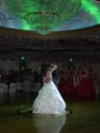 Highlight for Album: TJ and Randy's Wedding